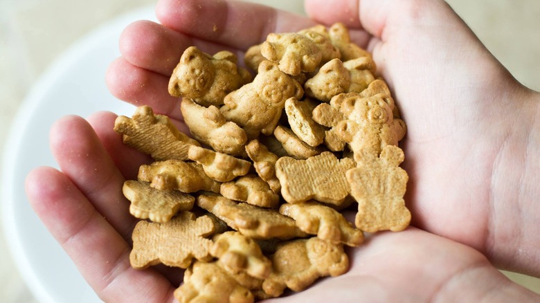 Hands holding Teddy Grahams cookies