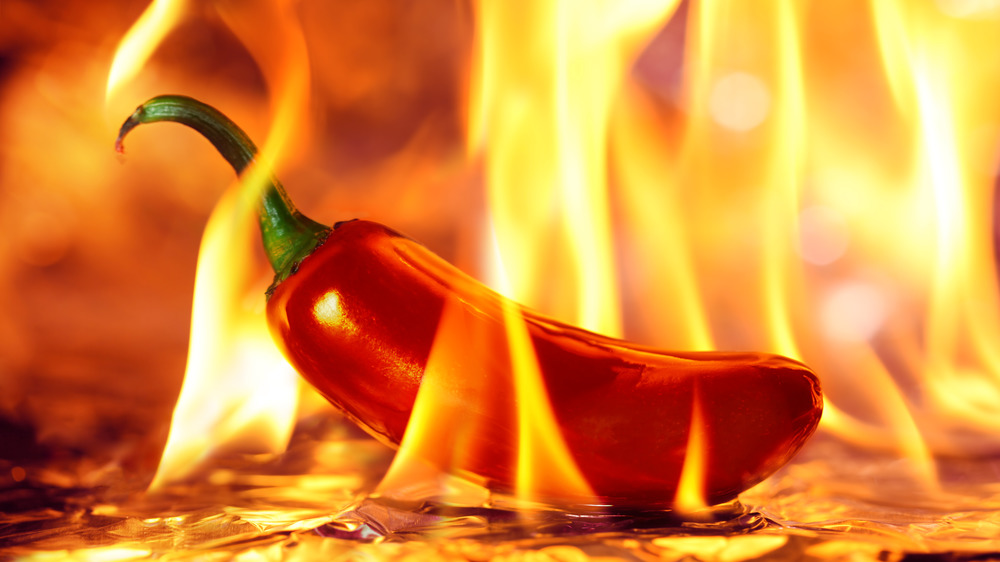 Spicy red pepper on fire