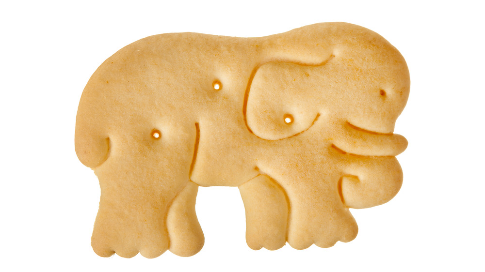 Elephant animal cracker