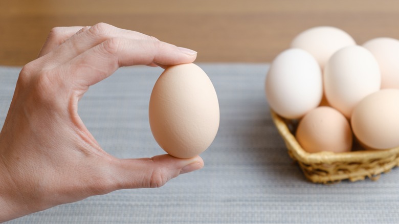 Person holding an egg