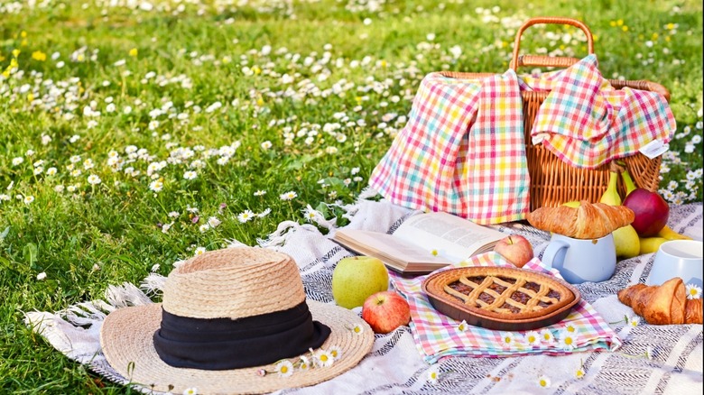 picnic in the grass