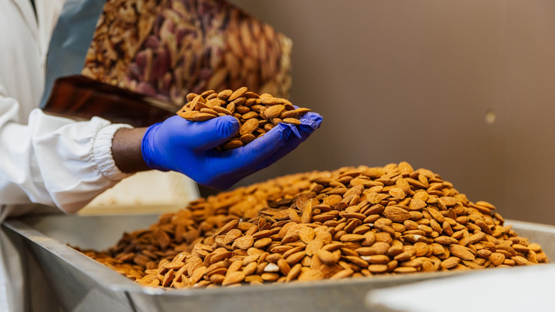 Hand holding processed almonds