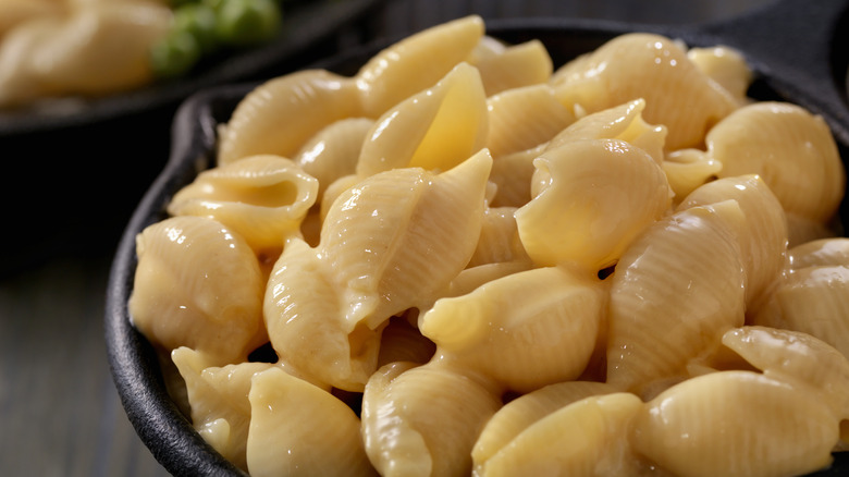 shells and cheese