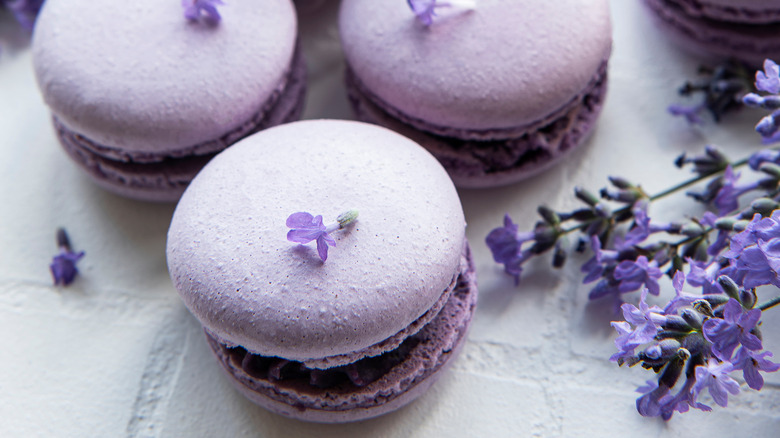 purple macarons with lavender flowers