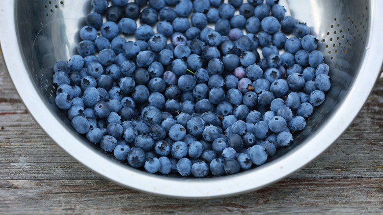 Blueberries in a strainer