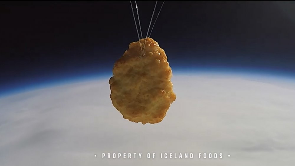 Chicken nugget in space