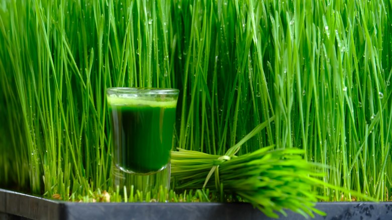 grass juice