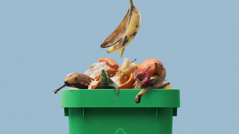  Food waste