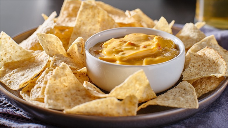 Yummy bowl of queso dip