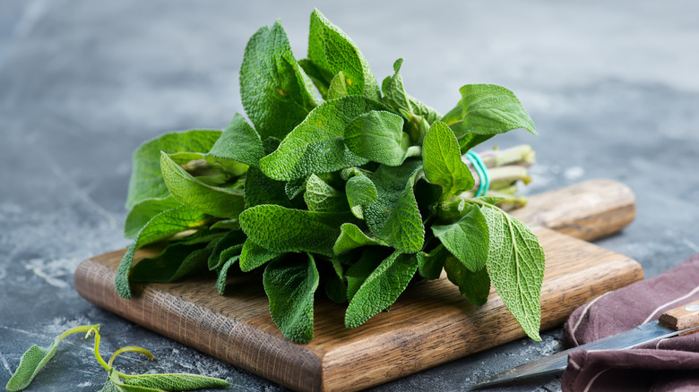 bundle of fresh sage leaves on a wooden board