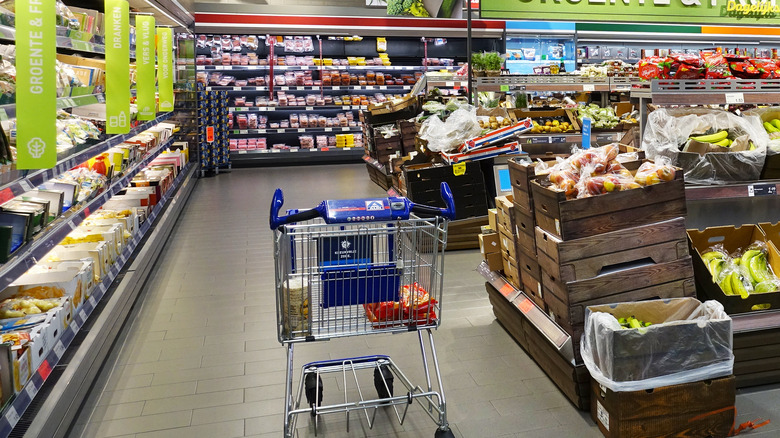 Woman and child grocery shopping