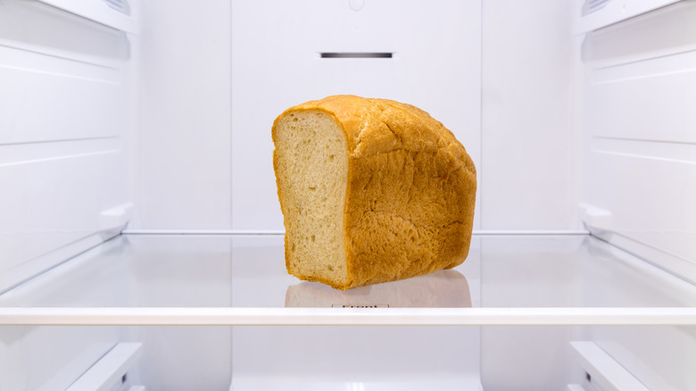 bread in empty refrigerator