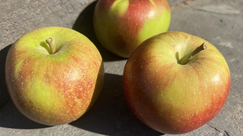 Three Baldwin apples