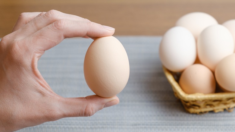 Person holding egg