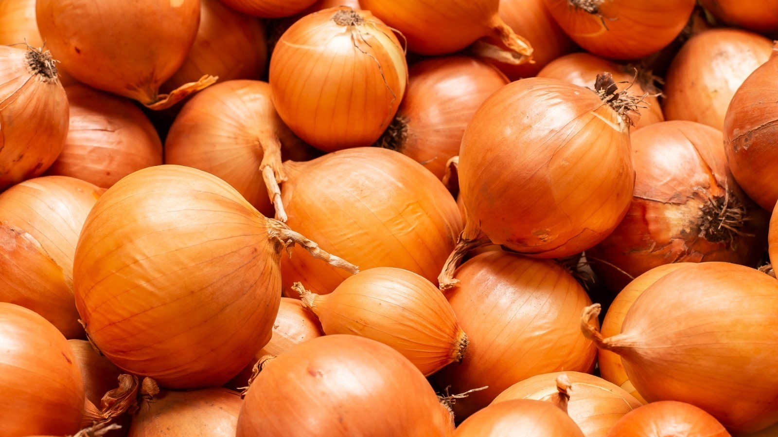 These Costco, Aldi, And Kroger Onions Won't Make You Cry