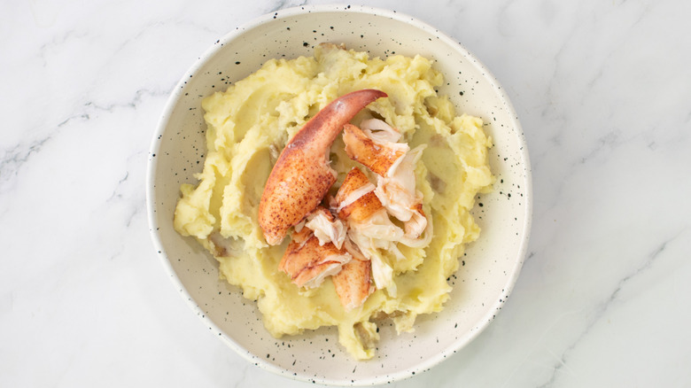 mashed potatoes with lobster in bowl on marble surface
