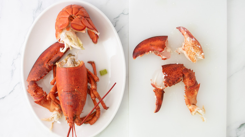 lobster meat and shell on cutting board next to plate of cooked lobster