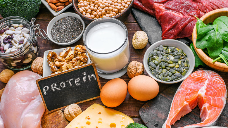 protein concept photo with various animal and vegetable proteins