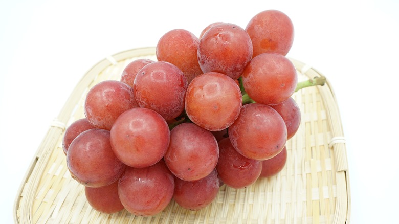 Ruby Roman grapes