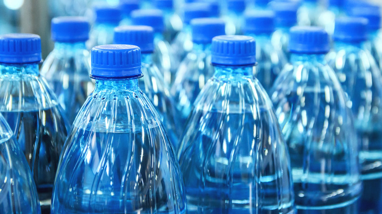 Rows of plastic water bottles