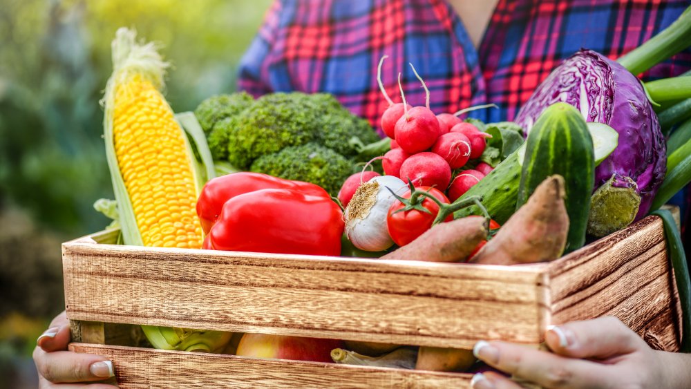 Summer vegetables