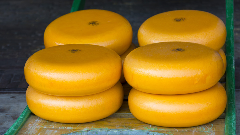 gouda cheese on a shelf