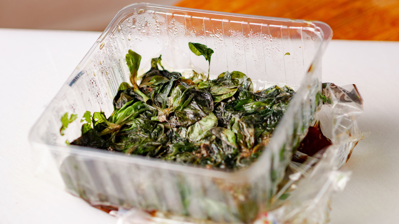 Wilted lettuce