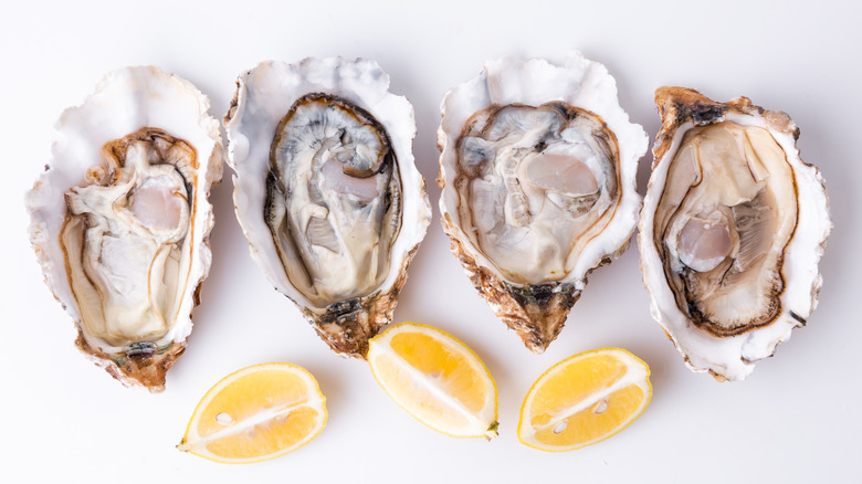 Four raw oysters on half shelves with lemon wedges