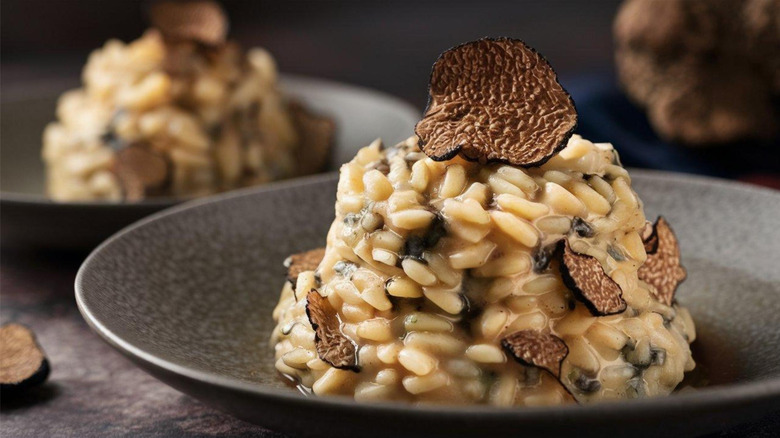 Risotto with black truffles