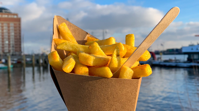 Holding cone of fries over waterfront