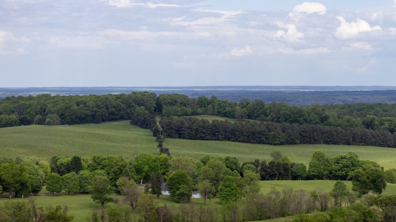 Central Virginia winery fields