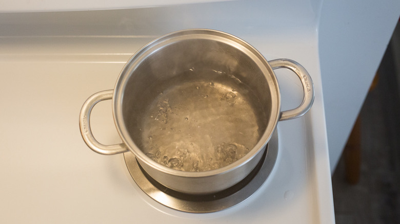 water boiling in medium pot