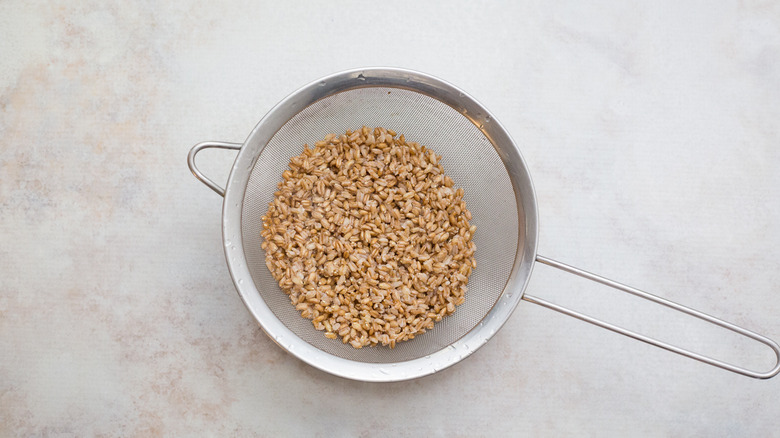 drained farro in mesh sieve