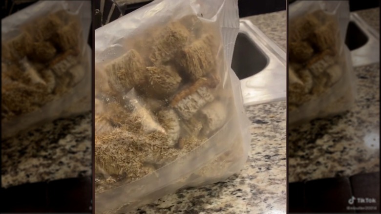 Mealworms in cereal bag
