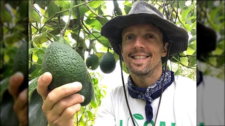 This Famous Musician Helps Grow Avocados For Chipotle