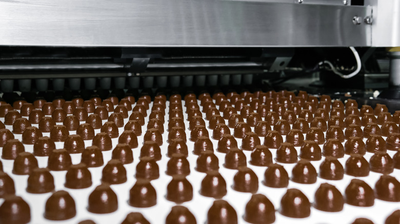 Rows of chocolates coming out of a machine