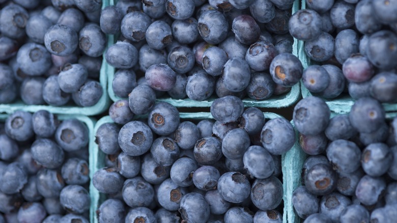 Closeup of fresh blueberries in containers