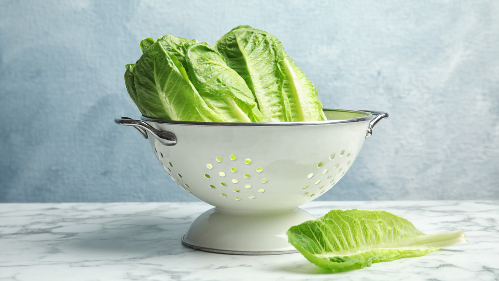 Lettuce in a white colander