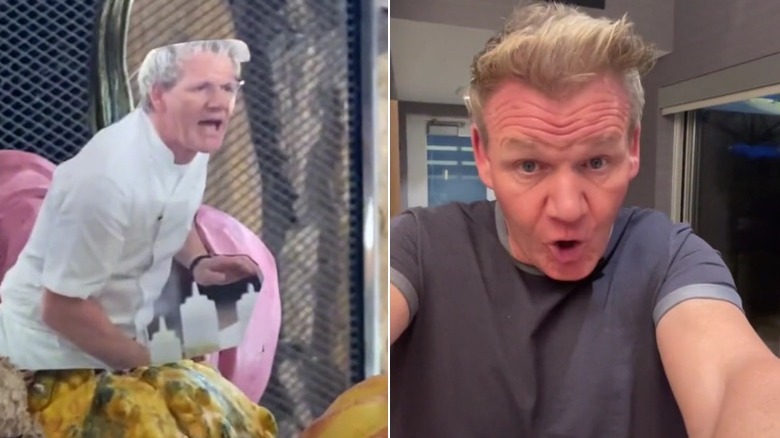 Gordon Ramsay scenes from a TikTok