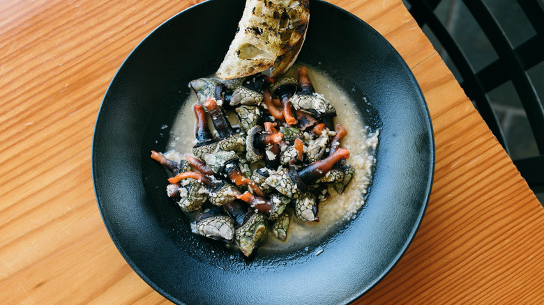 Gooseneck Barnacles in a bowl