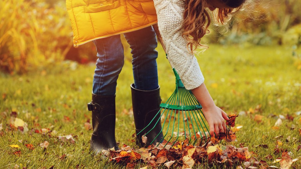 girl picking up leaves
