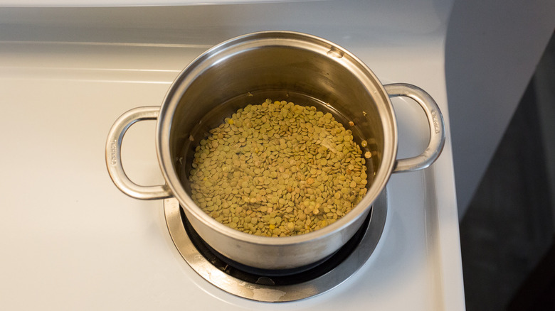 lentils in medium pot
