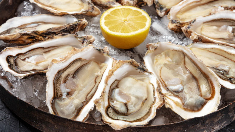 Chilled oysters on a platter with lemon