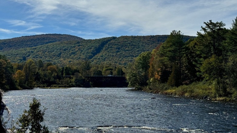 A river in the Adirondacks