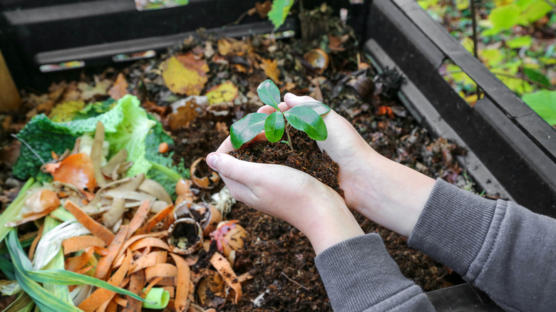 Person holding compost