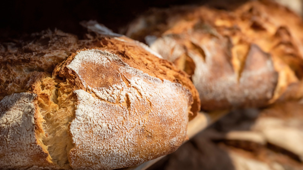 close up of two sourdough loaves