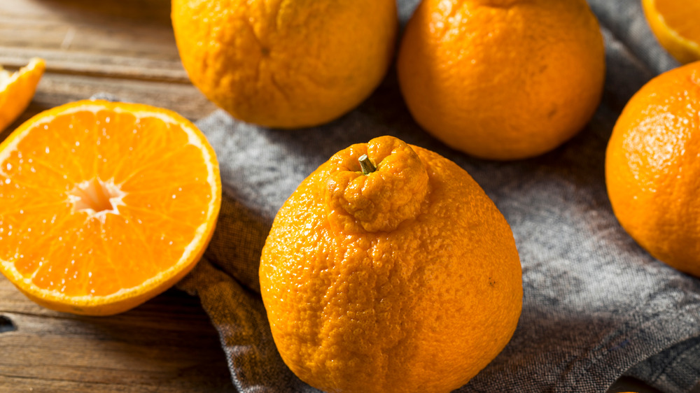 Japanese Sumo oranges 