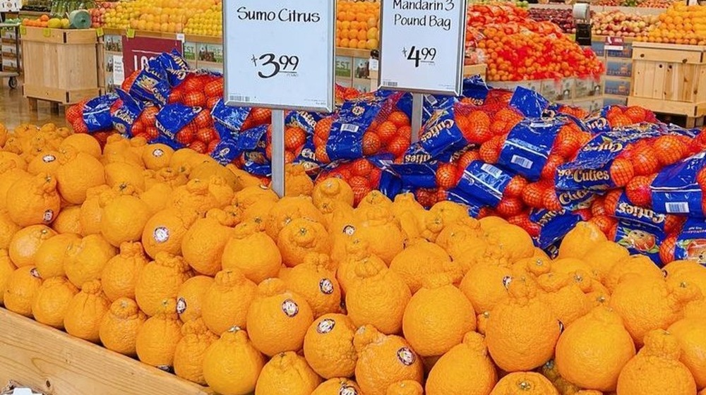 Sumo Citrus fills a grocery store