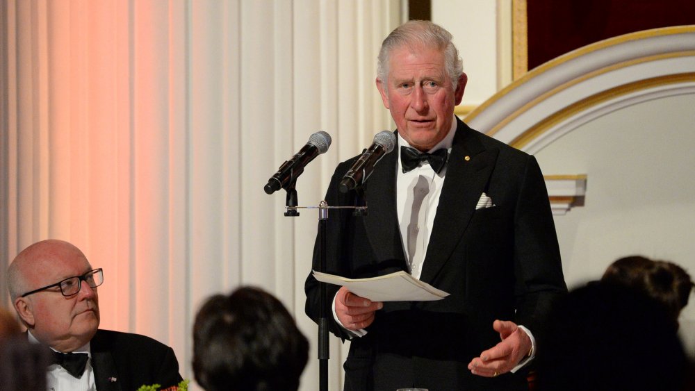 Prince Charles gives a speech