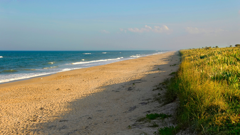 Shoreline of Cape Canaveral, Florida